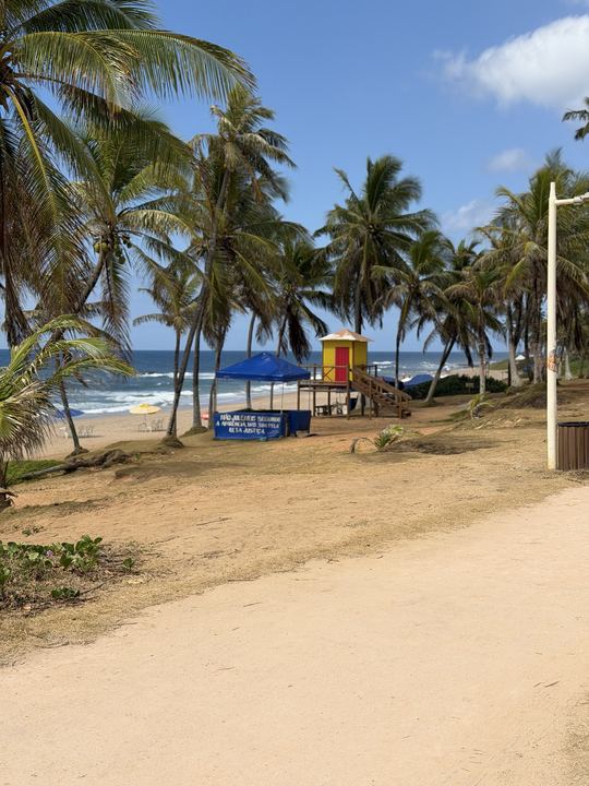 Calçadão e praia com coqueiros e quiosque