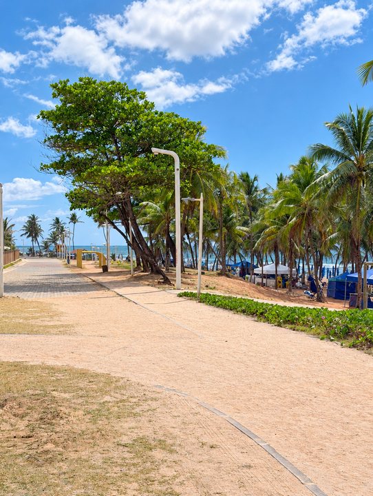 Caminho de areia sob árvores, com o mar ao fundo