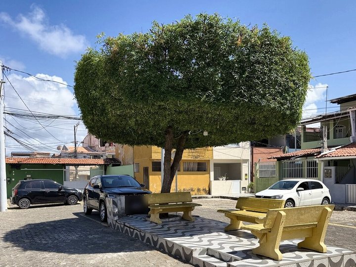 Praça com árvore podada e bancos, na rua do prédio